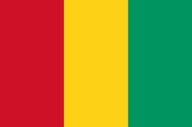 几内亚U17队标,几内亚U17图片